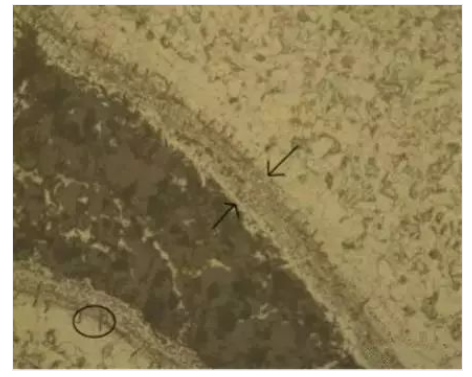 a1c90bee1106da45236796fad4014595.png 20240226/a1c90bee1106da45236796fad4014595.png